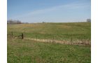 Property photo 37 - 137 Acres in 2 Tracts - 64 Tillable Acres, Potential Building Sites, Hunting